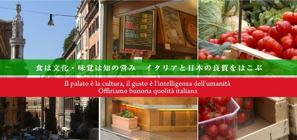 shop visual