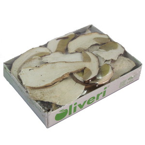 porcini