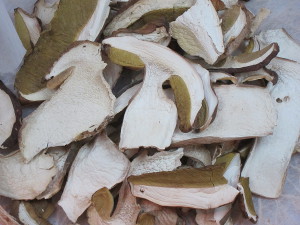 porcini